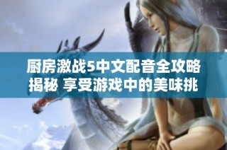 厨房激战5中文配音全攻略揭秘 享受游戏中的美味挑战体验