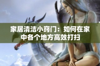 家居清洁小窍门：如何在家中各个地方高效打扫