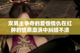 双男主争夺的爱恨情仇在红肿的情感漩涡中纠缠不清