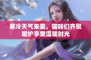 寒冷天气来袭，猫咪们齐聚暖炉享受温暖时光