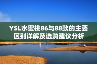 YSL水蜜桃86与88款的主要区别详解及选购建议分析