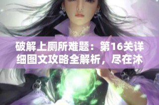 破解上厕所难题：第16关详细图文攻略全解析，尽在沐沐手游网！