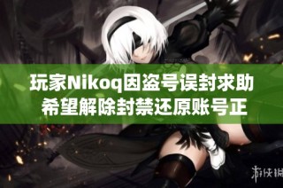 玩家Nikoq因盗号误封求助 希望解除封禁还原账号正常使用
