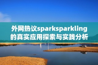 外网热议sparksparkling的真实应用探索与实践分析