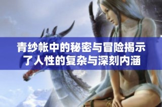 青纱帐中的秘密与冒险揭示了人性的复杂与深刻内涵