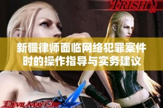 新疆律师面临网络犯罪案件时的操作指导与实务建议