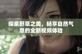 探索野草之美，畅享自然气息的全新视频体验