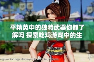 平精英中的独特武器你都了解吗 探索吃鸡游戏中的生存策略与装备选择
