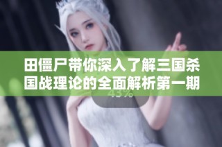 田僵尸带你深入了解三国杀国战理论的全面解析第一期