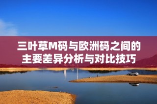 三叶草M码与欧洲码之间的主要差异分析与对比技巧