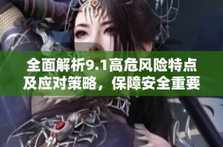 全面解析9.1高危风险特点及应对策略，保障安全重要性突出