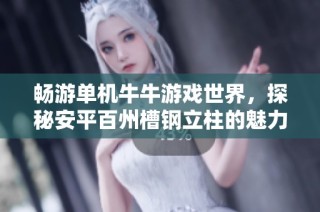 畅游单机牛牛游戏世界，探秘安平百州槽钢立柱的魅力与功能