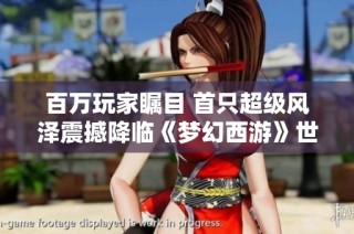 百万玩家瞩目 首只超级风泽震撼降临《梦幻西游》世界