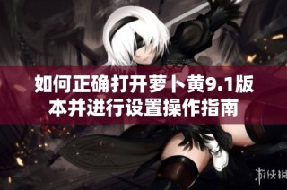 如何正确打开萝卜黄9.1版本并进行设置操作指南