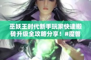 巫妖王时代新手玩家快速搬砖升级全攻略分享！#魔兽世界 #游戏搬砖