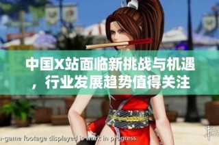 中国X站面临新挑战与机遇，行业发展趋势值得关注