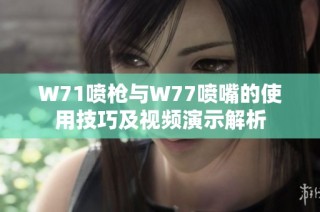 W71喷枪与W77喷嘴的使用技巧及视频演示解析