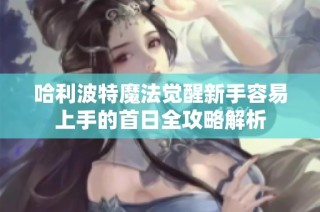 哈利波特魔法觉醒新手容易上手的首日全攻略解析