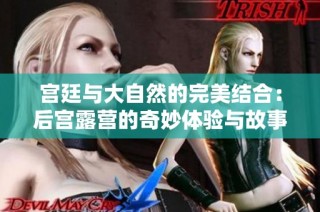 宫廷与大自然的完美结合：后宫露营的奇妙体验与故事分享