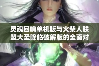灵魂回响单机版与火柴人联盟大圣降临破解版的全面对比分析