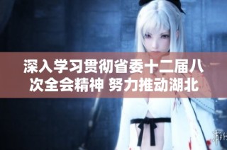 深入学习贯彻省委十二届八次全会精神 努力推动湖北高质量发展新篇章