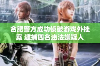 合肥警方成功侦破游戏外挂案 逮捕四名违法嫌疑人