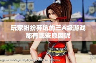 玩家纷纷弃坑的三A级游戏都有哪些原因呢
