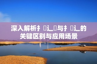 深入解析扌喿辶畑与扌喿辶的关键区别与应用场景