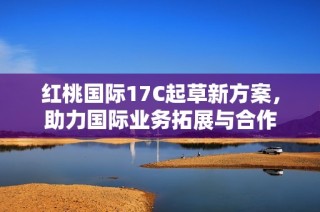 红桃国际17C起草新方案，助力国际业务拓展与合作