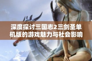 深度探讨三国志2三剑圣单机版的游戏魅力与社会影响