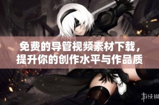 免费的导管视频素材下载，提升你的创作水平与作品质量