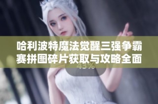 哈利波特魔法觉醒三强争霸赛拼图碎片获取与攻略全面指导