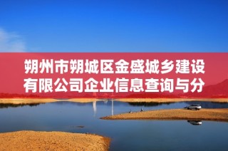 朔州市朔城区金盛城乡建设有限公司企业信息查询与分析