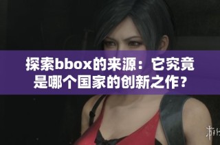 探索bbox的来源：它究竟是哪个国家的创新之作？