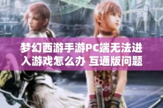 梦幻西游手游PC端无法进入游戏怎么办 互通版问题及解决策略揭秘