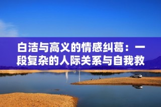 白洁与高义的情感纠葛：一段复杂的人际关系与自我救赎之路