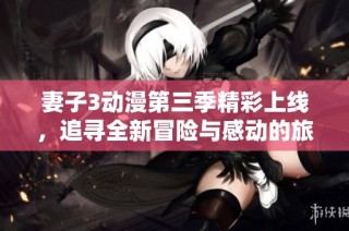 妻子3动漫第三季精彩上线，追寻全新冒险与感动的旅程