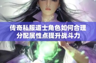 传奇私服道士角色如何合理分配属性点提升战斗力