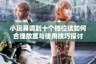 小玩具调到十个档位该如何合理放置与使用技巧探讨