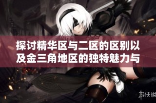 探讨精华区与二区的区别以及金三角地区的独特魅力与发展潜力