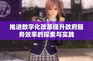 推进数字化改革提升政府服务效率的探索与实践