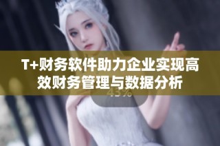 T+财务软件助力企业实现高效财务管理与数据分析
