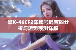 粤X-46CF2车牌号码吉凶分析与运势预测详解