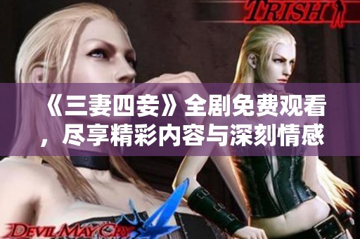 《三妻四妾》全剧免费观看，尽享精彩内容与深刻情感欢乐