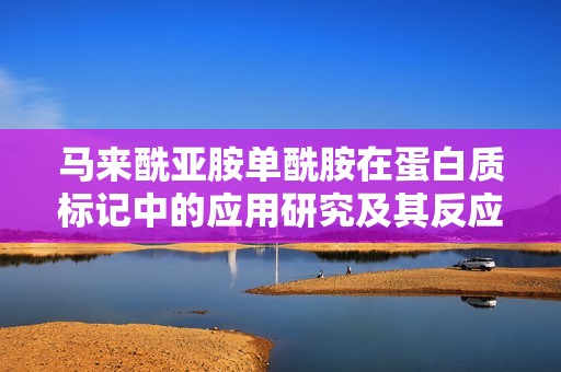 马来酰亚胺单酰胺在蛋白质标记中的应用研究及其反应机制