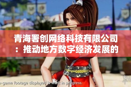 青海署创网络科技有限公司：推动地方数字经济发展的新兴企业探秘