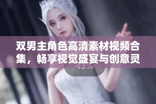 双男主角色高清素材视频合集，畅享视觉盛宴与创意灵感