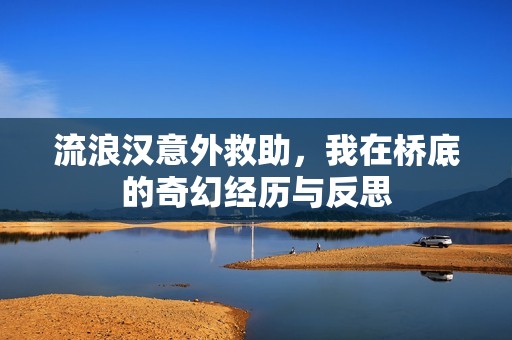 流浪汉意外救助，我在桥底的奇幻经历与反思