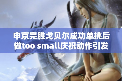 申京完胜戈贝尔成功单挑后做too small庆祝动作引发热议