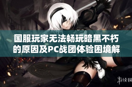 国服玩家无法畅玩暗黑不朽的原因及PC战团体验困境解析